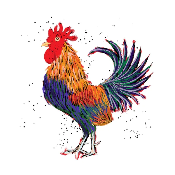Rooster painting in color — Stock Vector