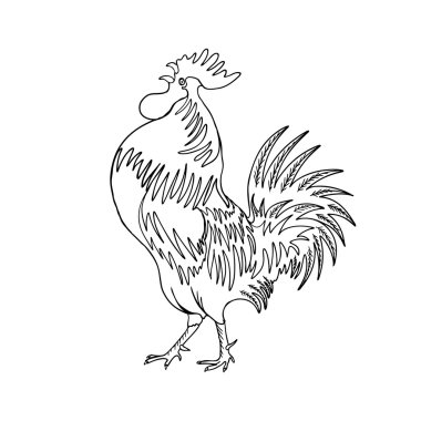 El çizilmiş horoz görüntüsü