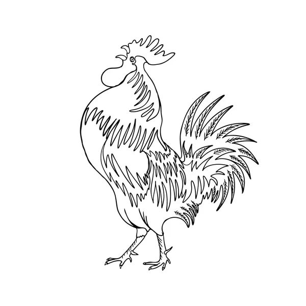 Immagine di un gallo disegnato a mano — Foto Stock
