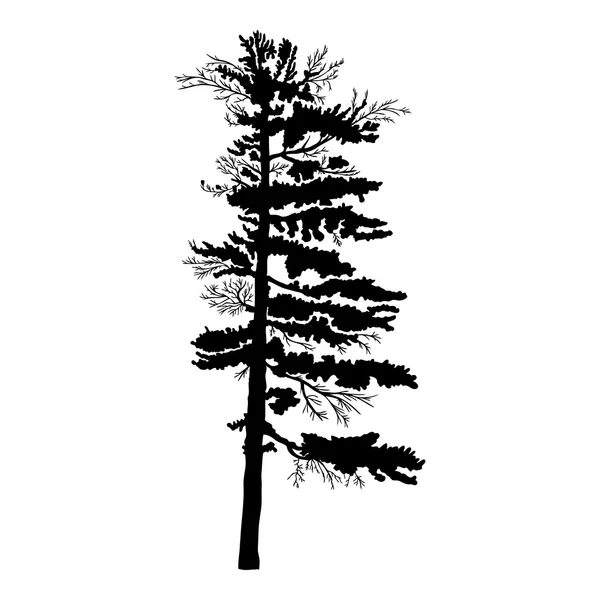 Texturerat tall träd silhouette — Stock vektor