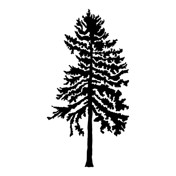 Texturerat tall träd silhouette — Stock vektor