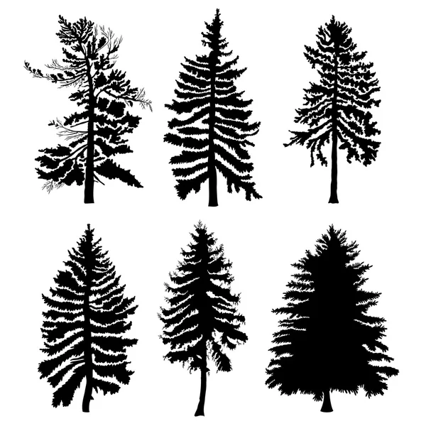 Set of pine trees silhouettes — Stock Vector