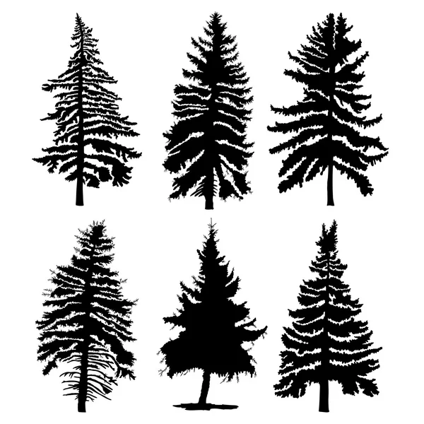 Set of pine trees silhouettes — Stock Vector