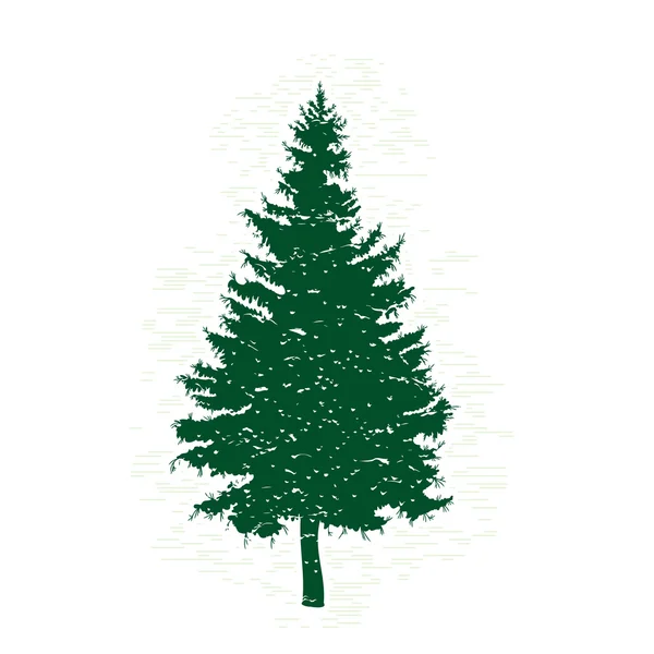 Getextureerde pine tree-silhouet — Stockvector