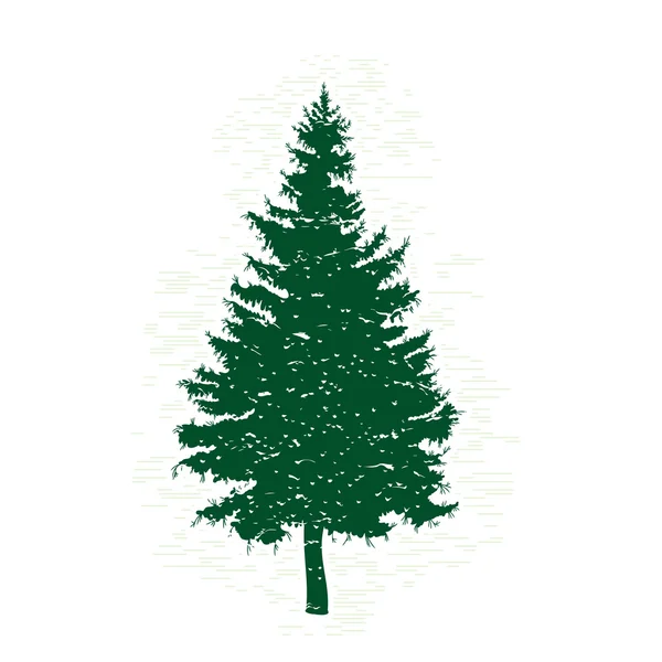 Textured pine tree silhouette — Stock Vector