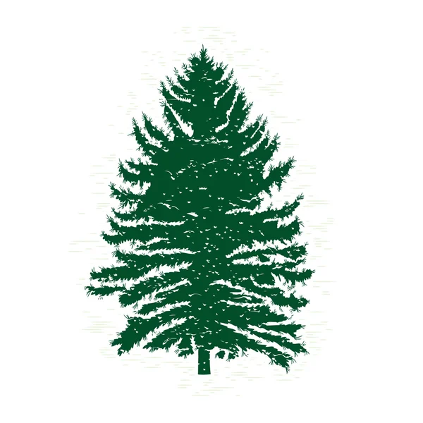 Textured pine tree silhouette — Stock Vector