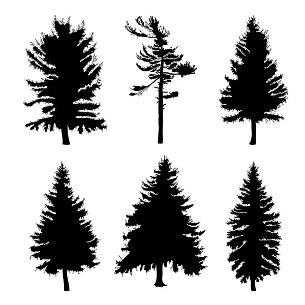 Set of pine trees silhouettes — Stock Illustration Set of pine trees silhouettes Vector Graphics