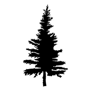 çam ağacı silüeti