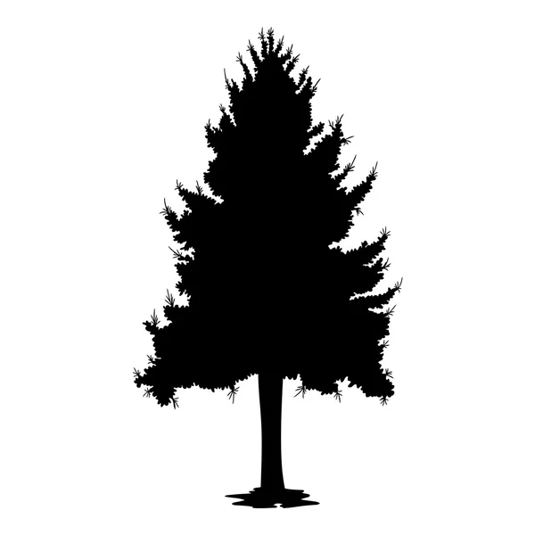 Çam ağacı silüeti — Stok Vektör