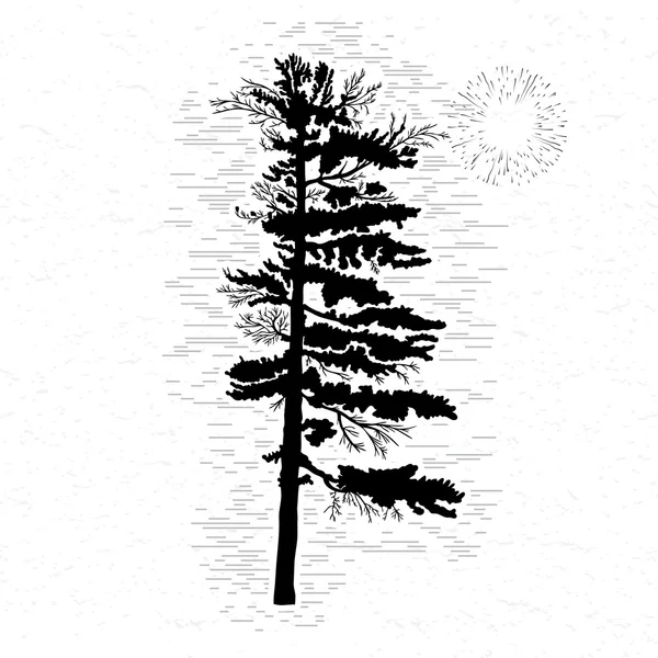 Σιλουέτα του δέντρου πεύκων — Διανυσματικό Αρχείο
