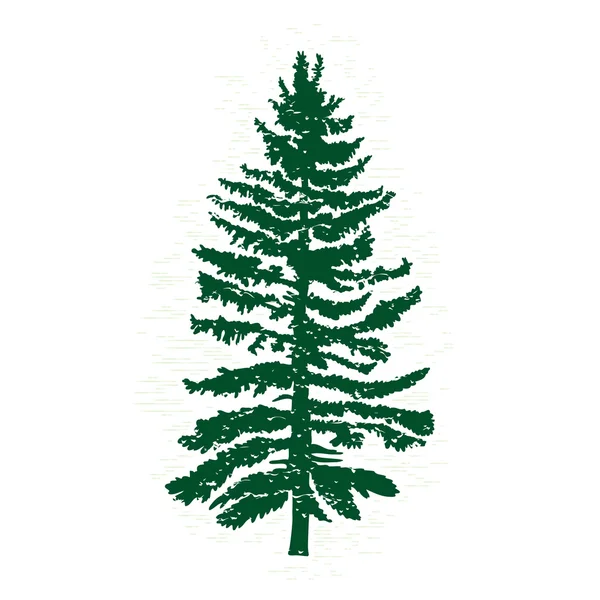 Silhouette of pine tree — Stock Vector