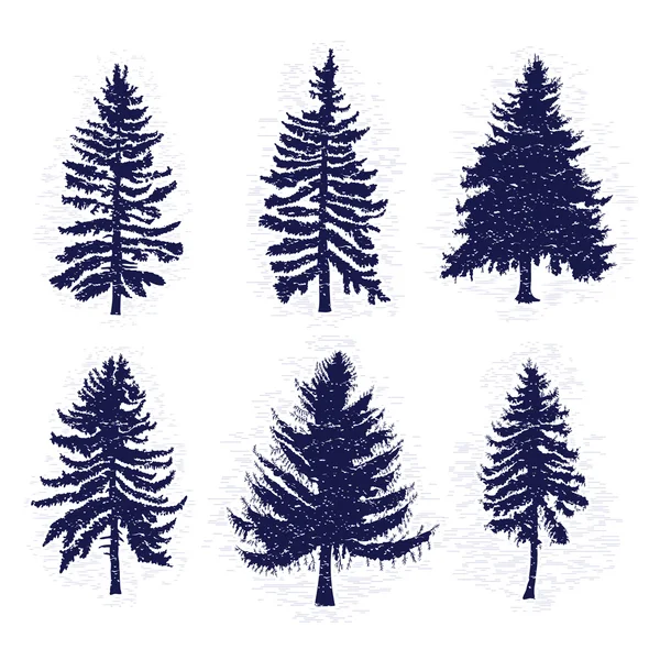 Set of pine trees silhouettes — Stock Vector