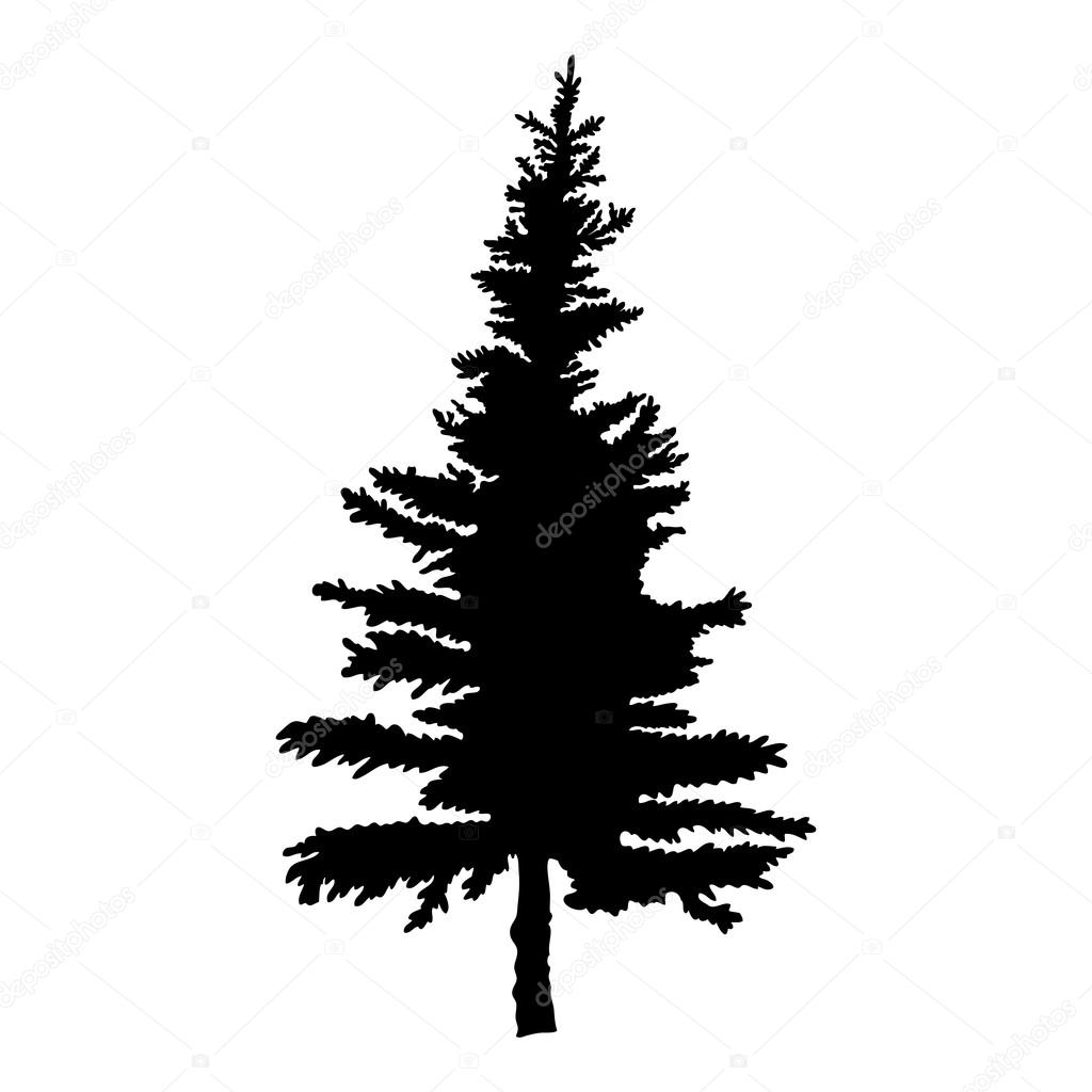 Silhouette of pine tree — Stock Vector © goldenshrimp #119492936