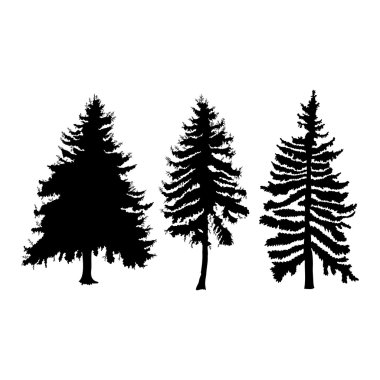 Çam ağaçlarının silhouettes kümesi