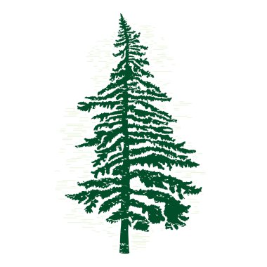 Silhouette of pine tree clipart