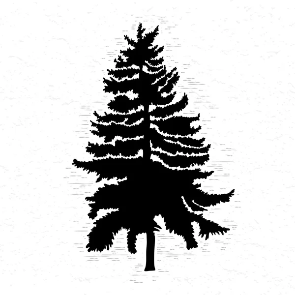 Silhouette of pine tree — Stock Vector