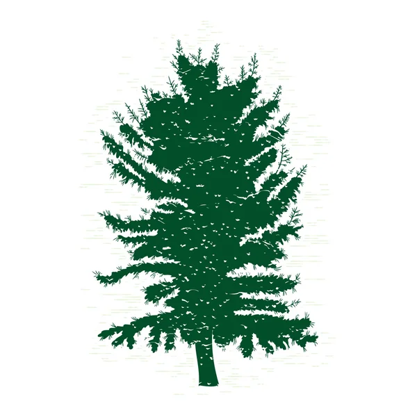 Silhouette of pine tree — Stock Vector