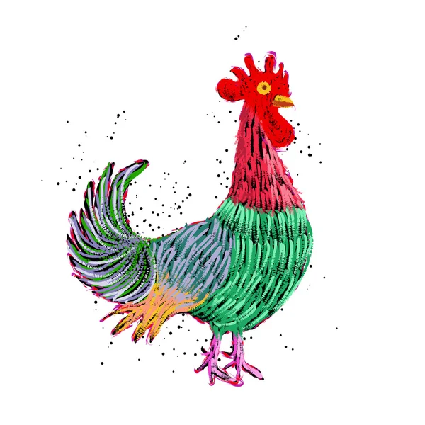 Pittura a gallo a colori — Foto Stock