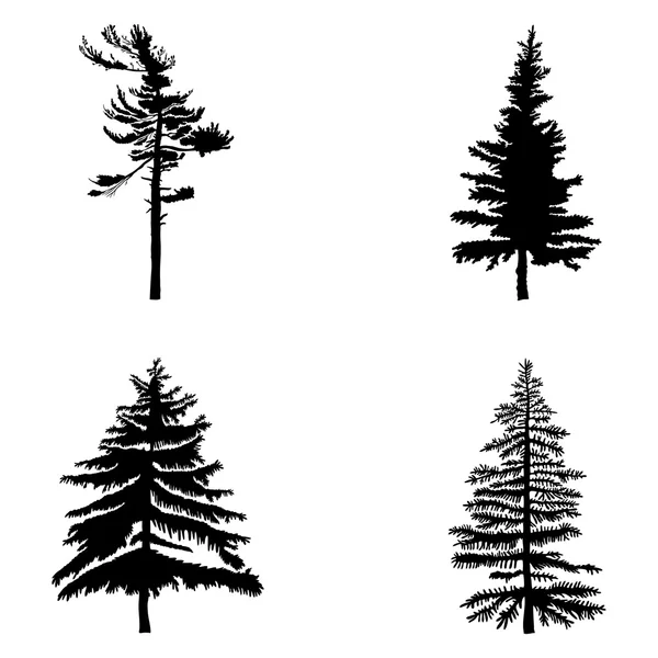 Fir Trees se — Stock vektor