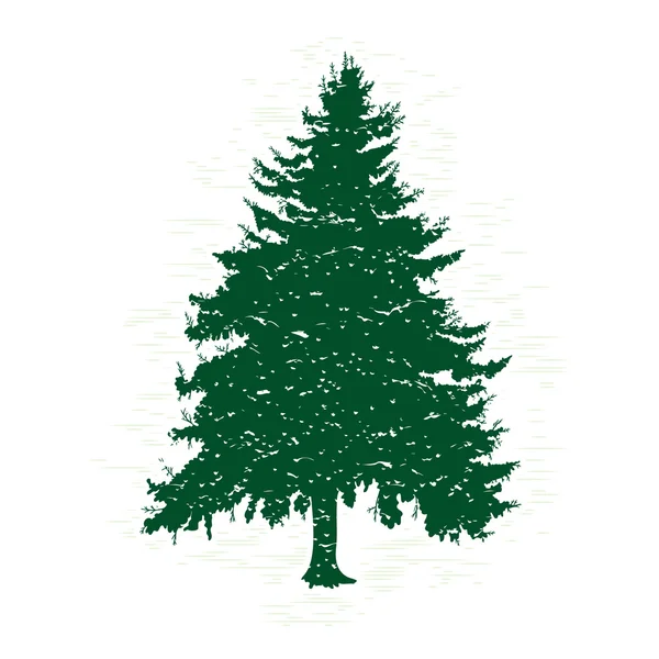 Silhouet van Green Pine Tree — Stockvector