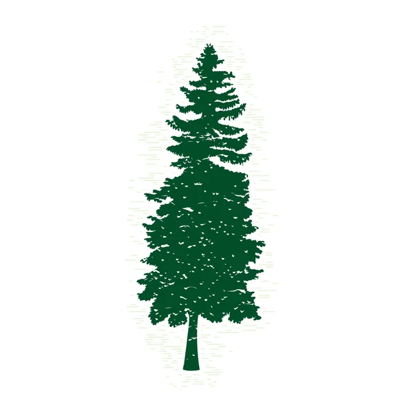 Silhouet van Green Pine Tree — Stockvector