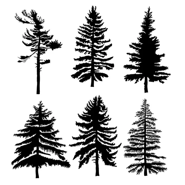 Fir trees silhouettes set — Stock Vector