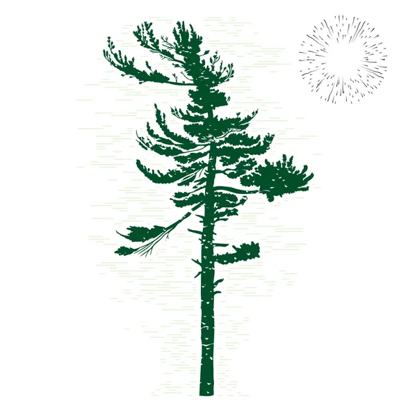 Hand drawn silhouette of pine tree — Stock Vector