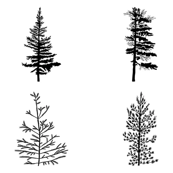 Ensemble silhouettes de sapins — Image vectorielle