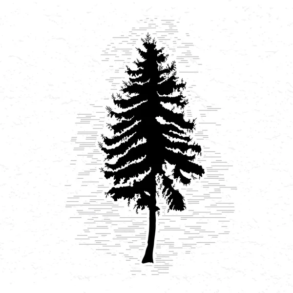 Silhouette disegnata a mano di pino — Vettoriale Stock