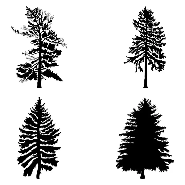 Fir trees silhouettes set — Stock Vector