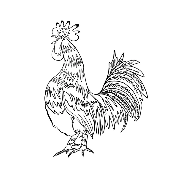 Hand drawn rooster illustration — Stock Photo, Image