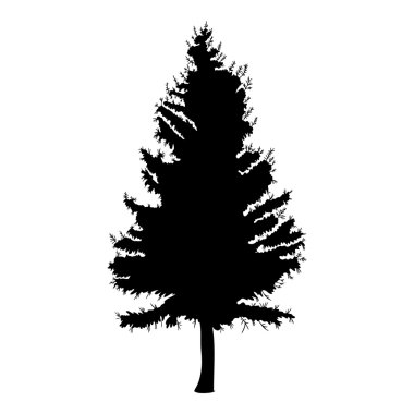 Çam ağacı el çizilmiş silueti