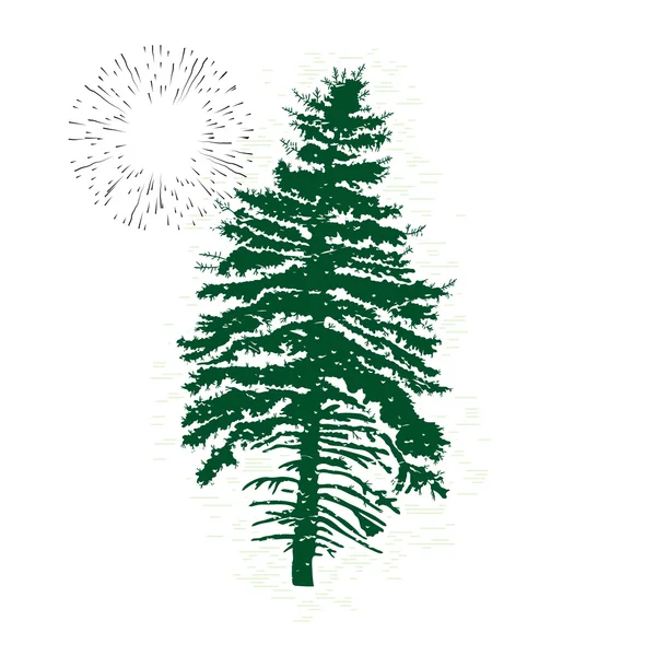 Hand getekende silhouet van naaldboom — Stockvector
