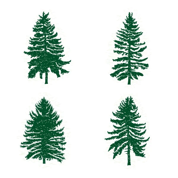 Conjunto de diferentes silhuetas de pinheiros —  Vetores de Stock