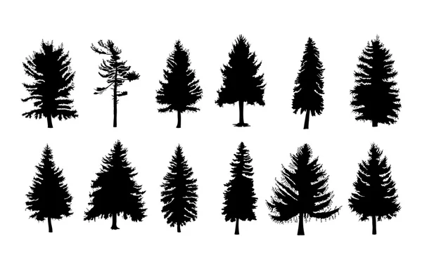 Set of different silhouettes of pine trees — Stock Vector