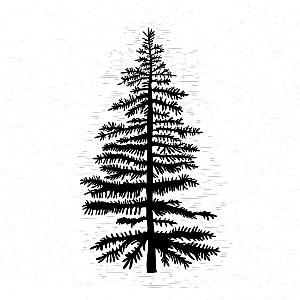 Fir träd Illustration — Stock vektor