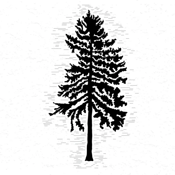 Ілюстрація дерев ялиці — стоковий вектор