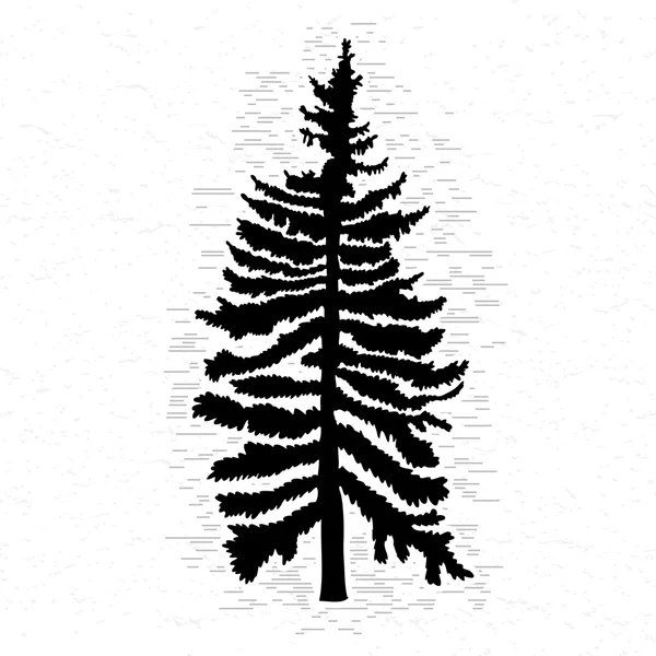 Illustrazione albero di abete — Vettoriale Stock