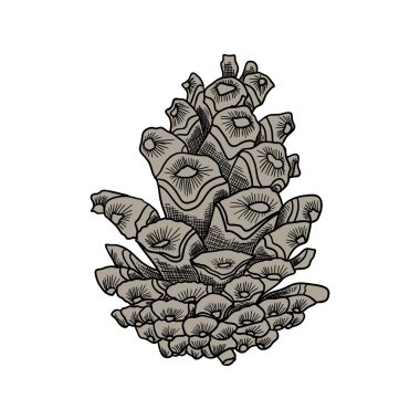 Pinecone el çizimi