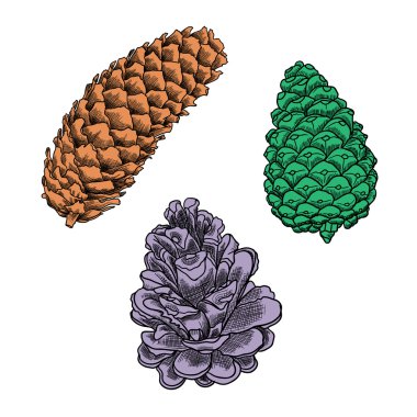 El çizilmiş pinecones seti