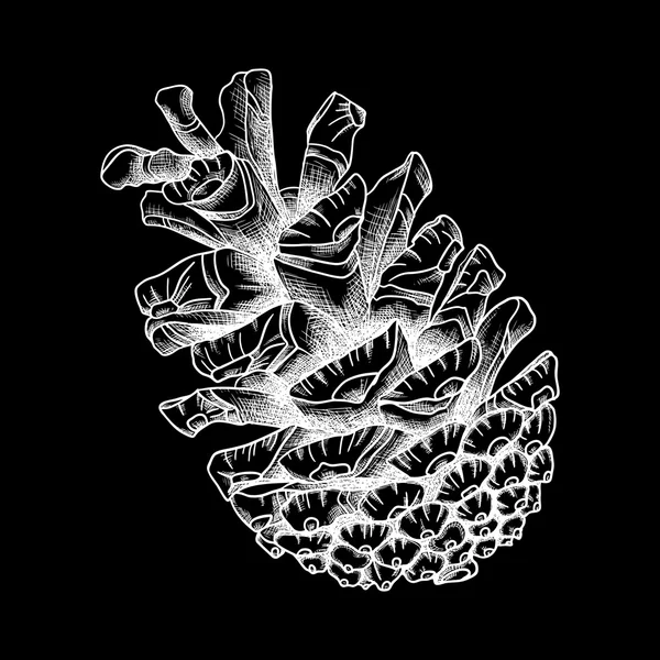 Pinecone handtekening — Stockvector