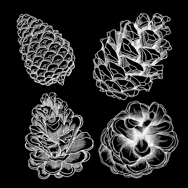 Set hand getekende pinecones — Stockvector