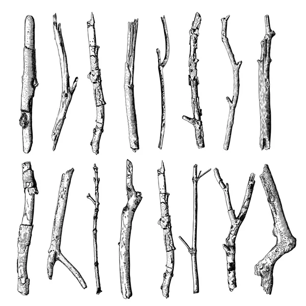 Hand drawn wood twig, ink rustic design element. Stock Vector by  ©goldenshrimp 123973168