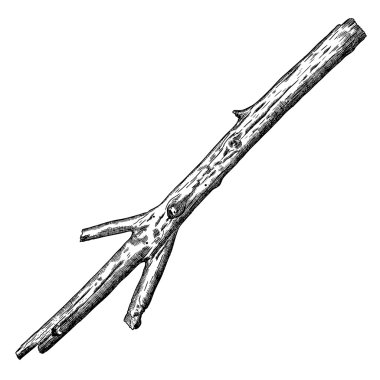 Elle çizilmiş dal dal