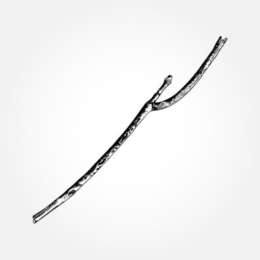 Elle çizilmiş dal dal