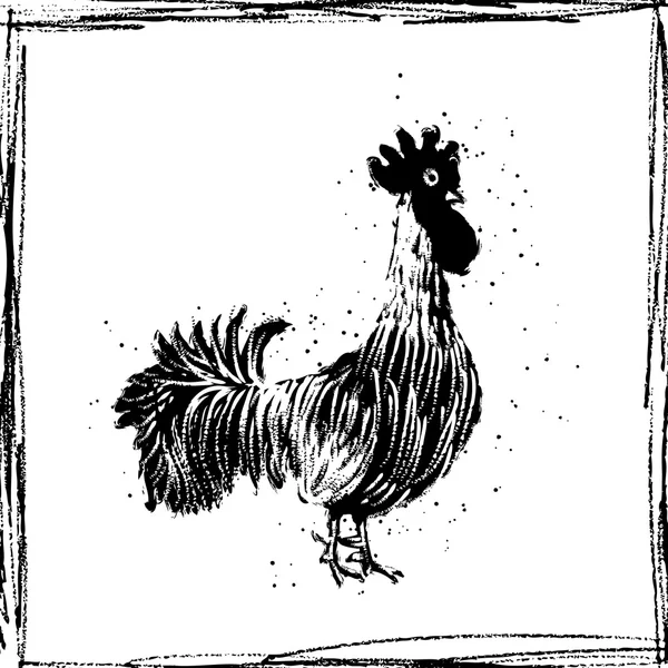 Gallo dibujado a mano — Archivo Imágenes Vectoriales