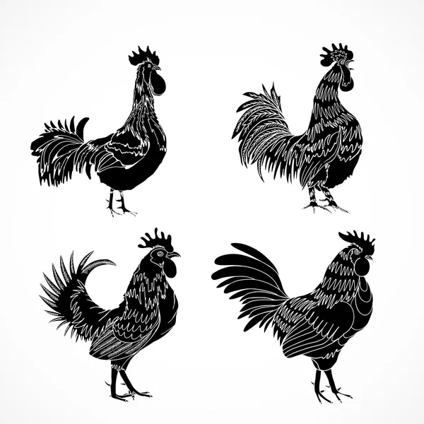 手描きの鶏のセット — ストックベクタ