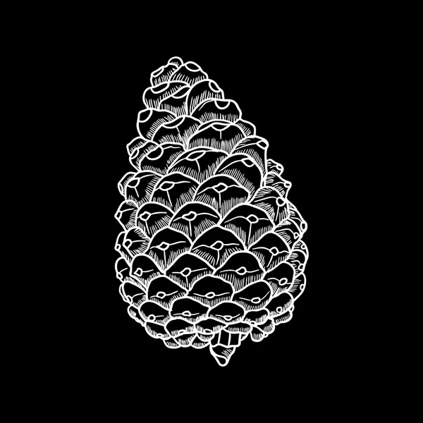 Hand getekende pinecone — Stockvector