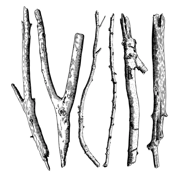 Set di illustrazioni Driftwood — Vettoriale Stock