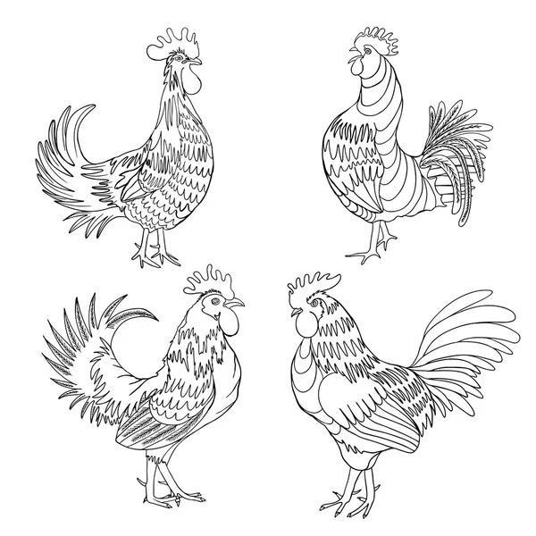 Set di galli disegnati a mano — Vettoriale Stock